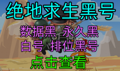绝地求生v3.0 - 吃鸡便宜的黑号